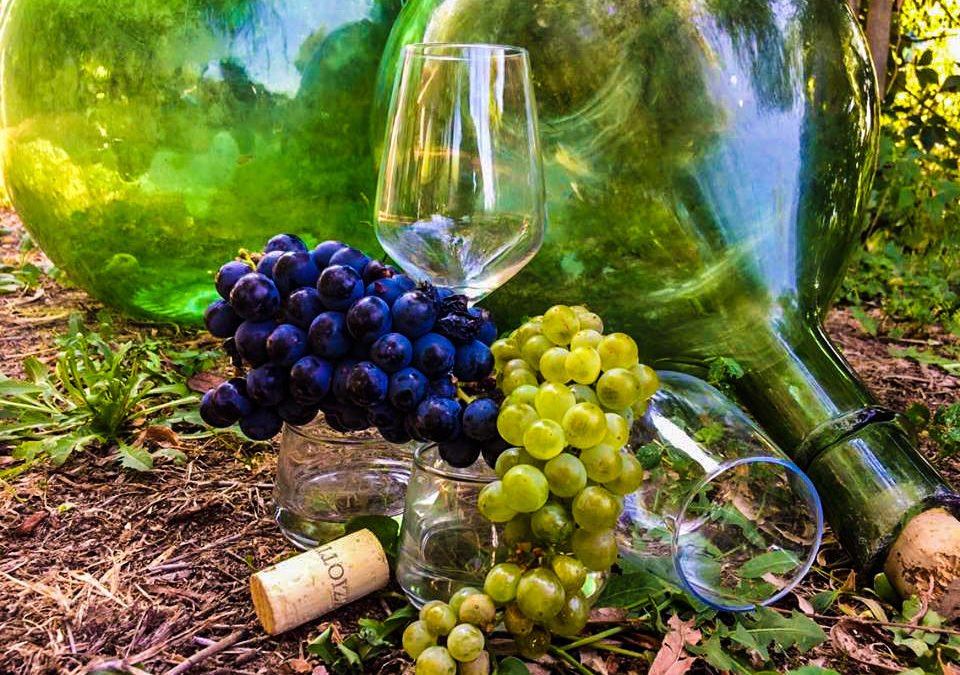 Italië wijnwandelen