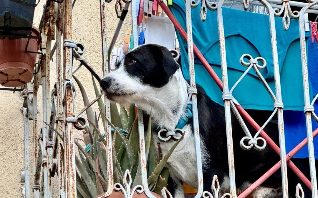 Fotografie week Italie