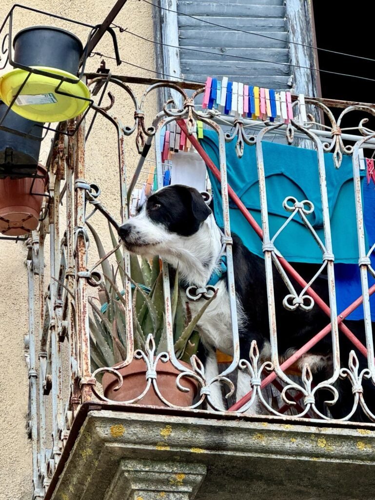 Agenda overzicht aanbod Volg de Rode Schoentjes Italië 10 Fotografie week Italie