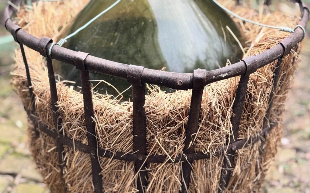 De charme van de damigiane: