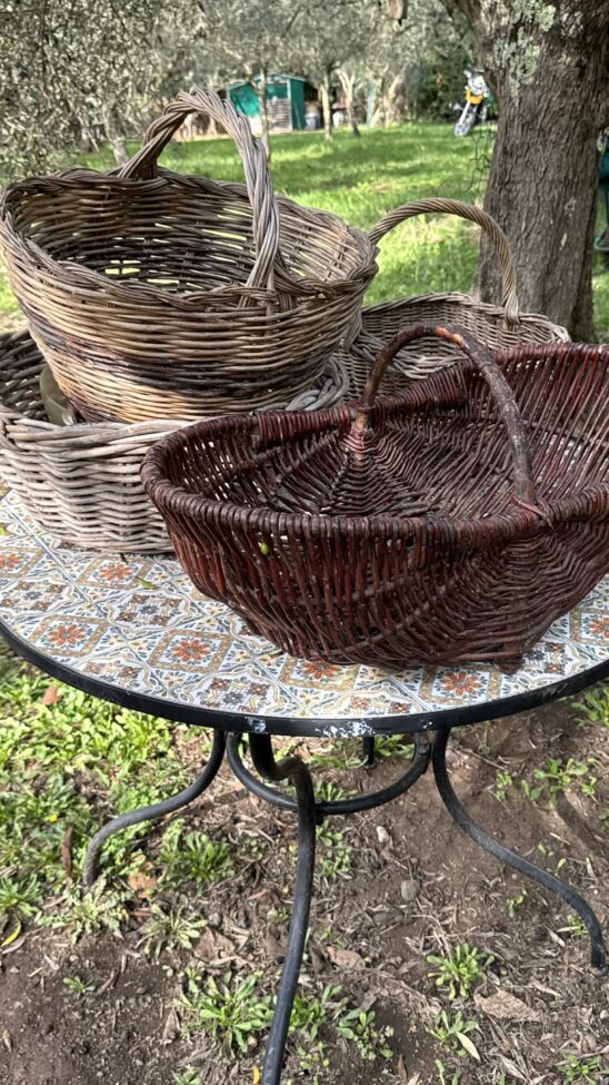 3 Testimonial Author Image