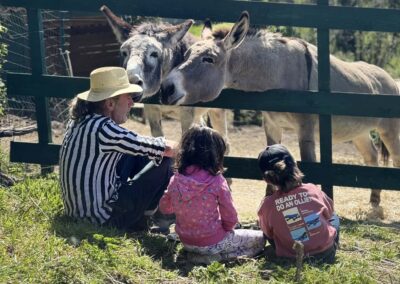 Ezels olijfgaard Bolsena