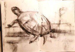 Urban Sketching Rome