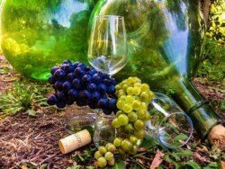 Wine walking Italy