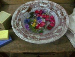 Tent rentals Bolsena Italy 2 - Tent rentals Bolsena Italy