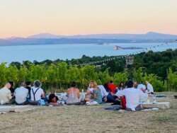 Tent rentals Bolsena Italy 7 - Tent rentals Bolsena Italy