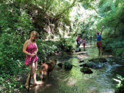 Walking retreat Bolsena lake 5