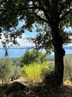 Walking retreat Bolsena lake 3